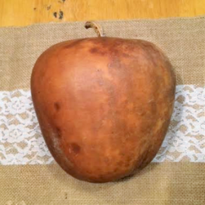 Apple Gourd (4" - 6" across) Box of 8