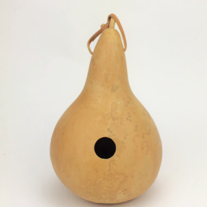dried gourd birdhouse