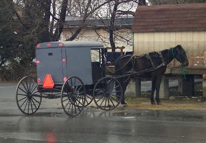 horse and buggy 