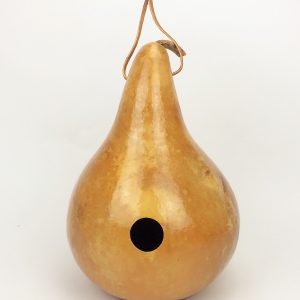 gourd birdhous