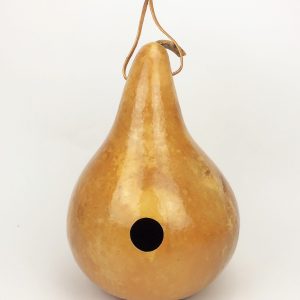 gourd birdhous