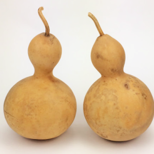 two bottle gourds