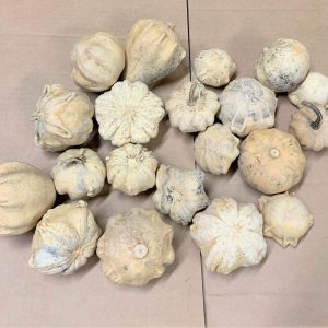 dried ornamental gourds