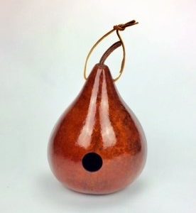 brown dried gourd birdhouse