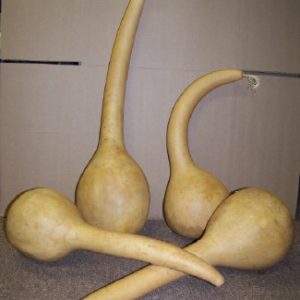 long handle dipper gourds