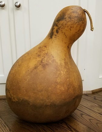 large bottle gourd