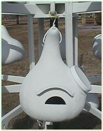 purple martin birdhouse