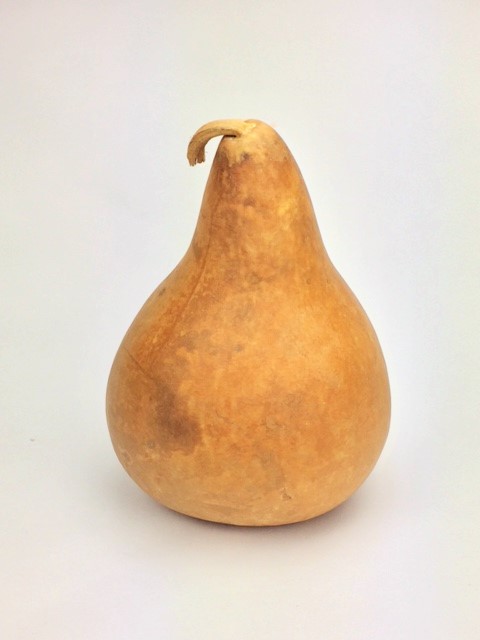 dried kettle purple martin gourd