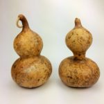 two large bottle gourds
