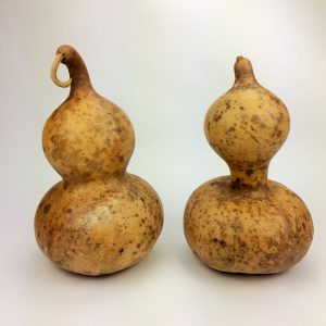 two large bottle gourds