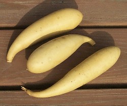 dried banana gourds