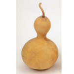 dried bottle gourd