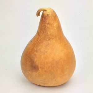 dried kettle purple martin gourd