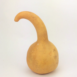 apache dipper gourd