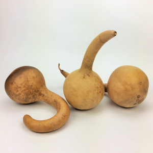 big ball short handle dipper gourd