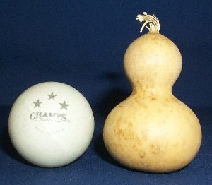 bottle shaped sennari jewelry gourds