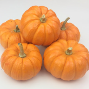 orange mini pumpkins
