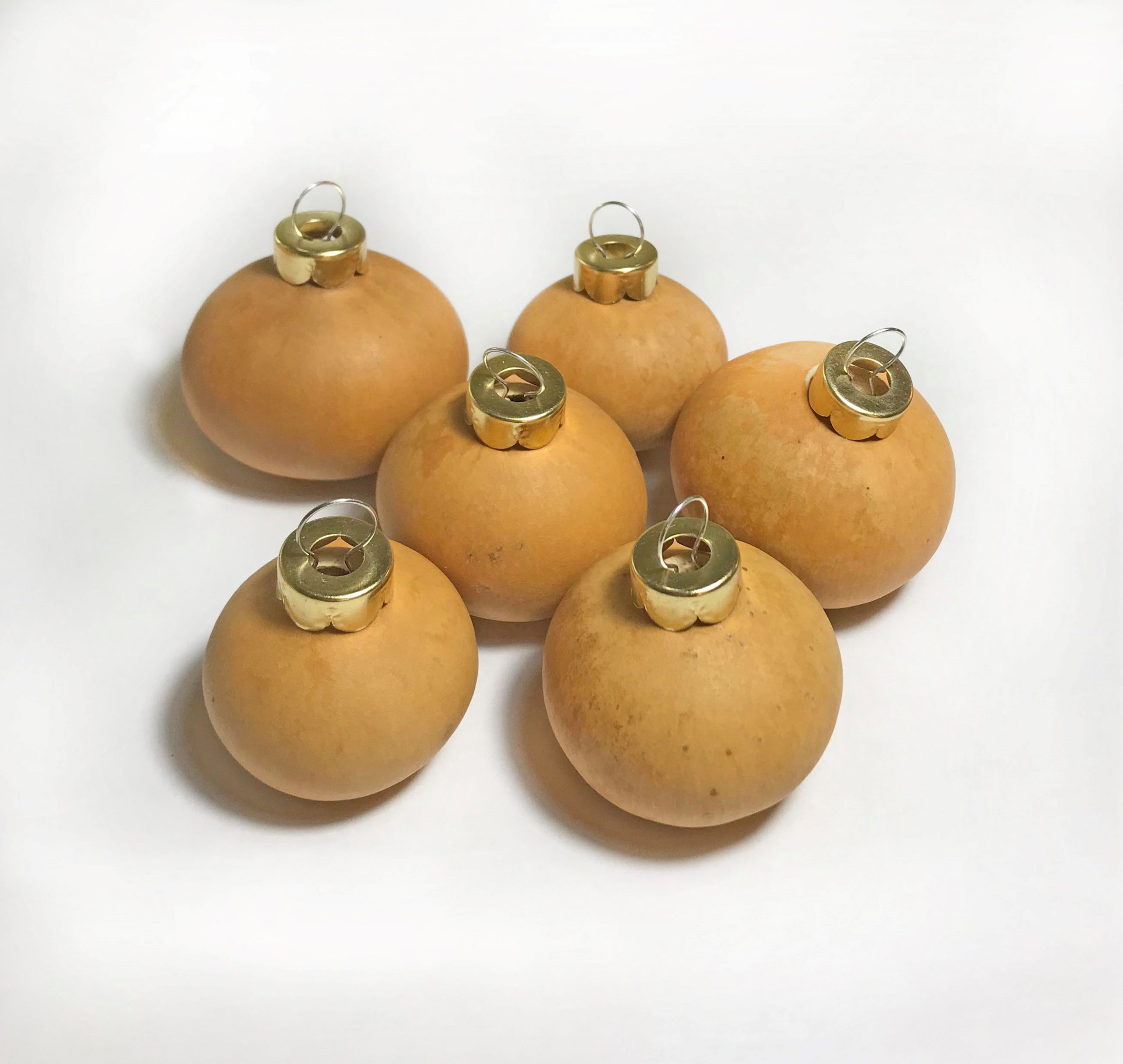 Gourd Ornament with Metal Cap Box of 10 - Amish Gourds