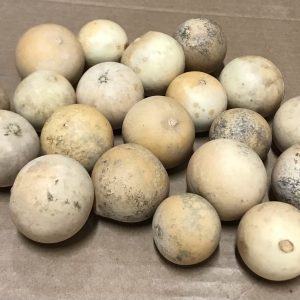 small round ornamental gourds
