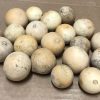 small round ornamental gourds