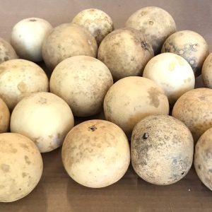 small dried round gourds