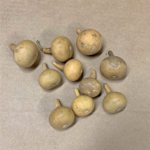 small pear shaped gourds