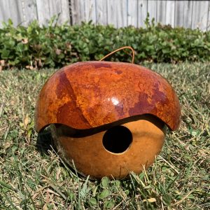 acorn shaped gourd birdhouse