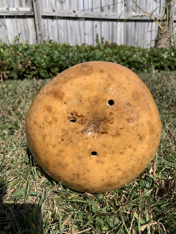 tan gourd birdhouse