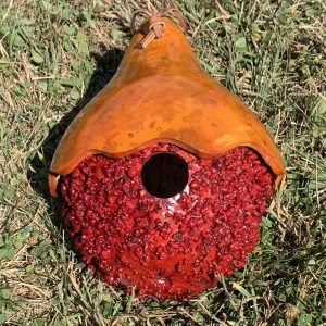 red gourd birdhouse in grass