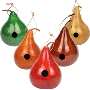 five gourd birdhouses